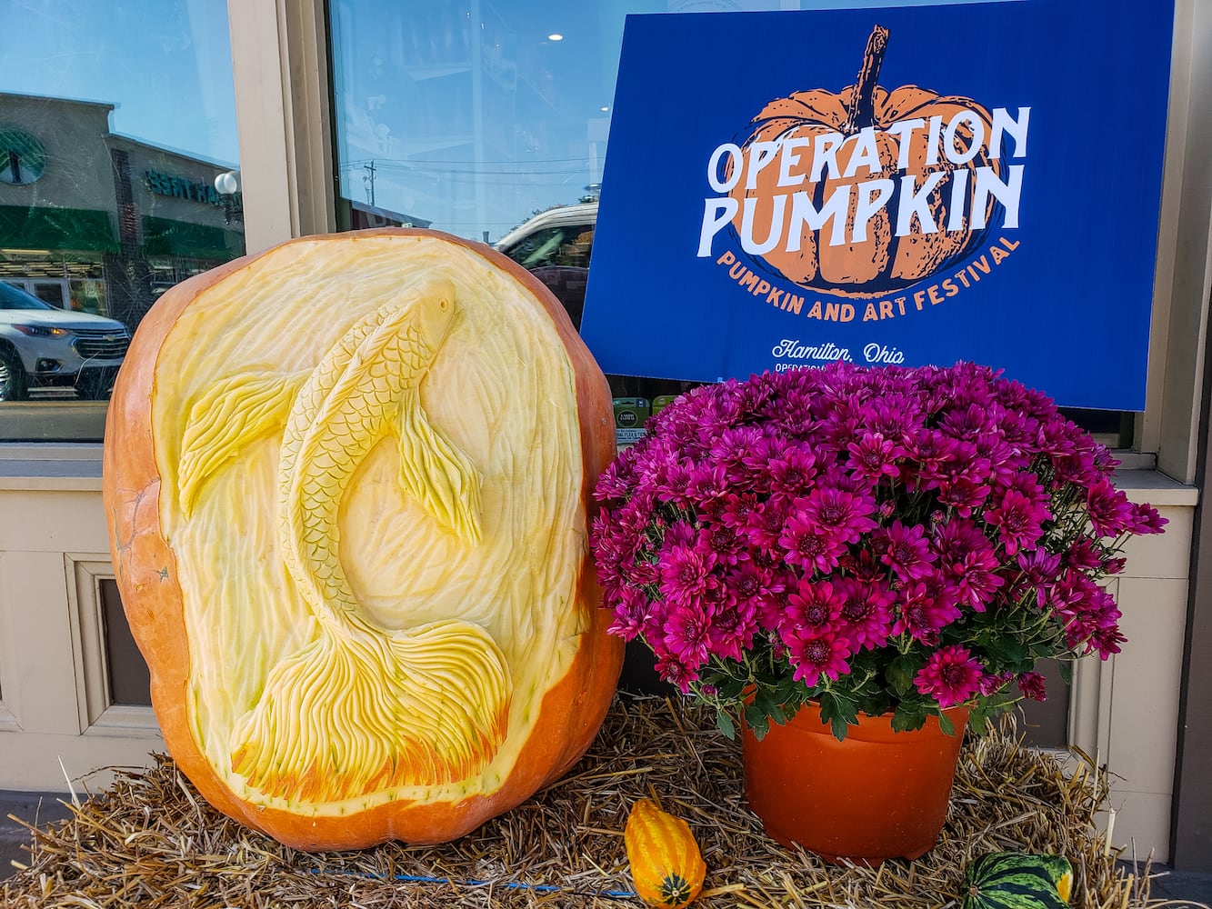 100820 Operation Pumpkin