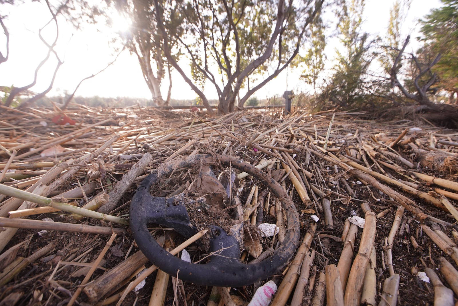 A steering wheels lies on a bed of bamboo by the port of Catarroja on the outskirts of Valencia, Spain, Tuesday, Nov. 5, 2024. (AP Photo/Alberto Saiz)