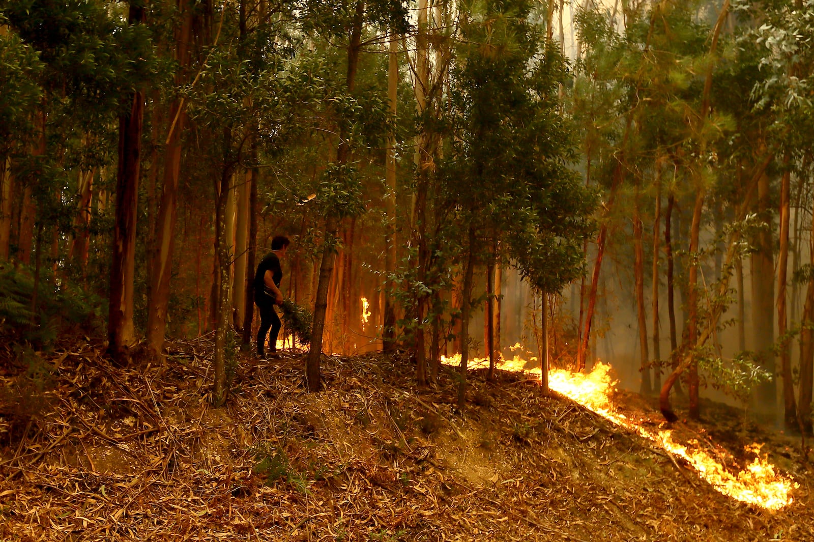 A woman tries to extinguish the flames near Sever do Vouga, a town in northern Portugal that has been surrounded by forest fires, Tuesday, Sept. 17, 2024. (AP Photo/Bruno Fonseca)