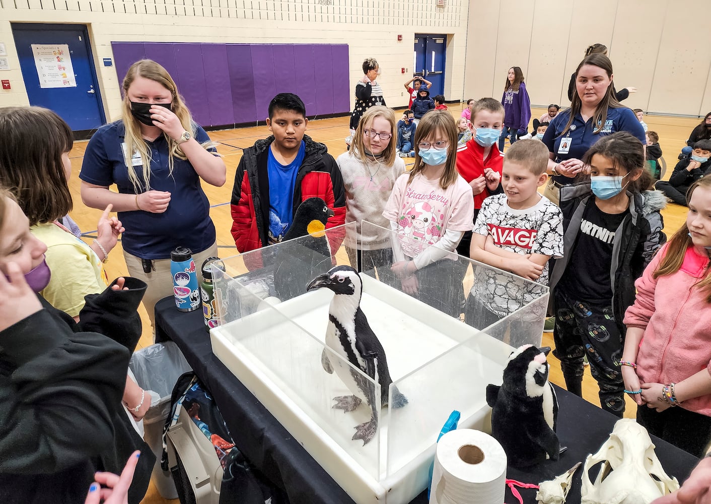 030122 penguin at Creekview elementary