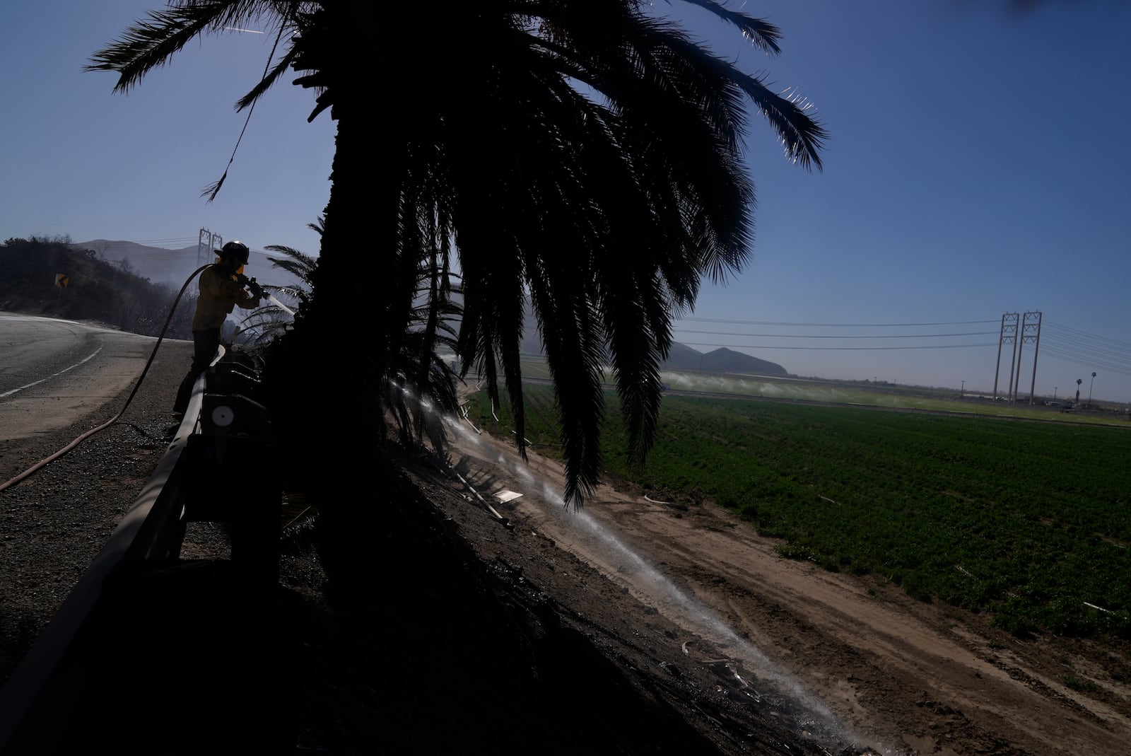 Firefighters put out hot spots Thursday, Jan. 23, 2025 in Camarillo, Calif., where the Laguna Fire fire broke out. (AP Photo/Brittany Peterson)