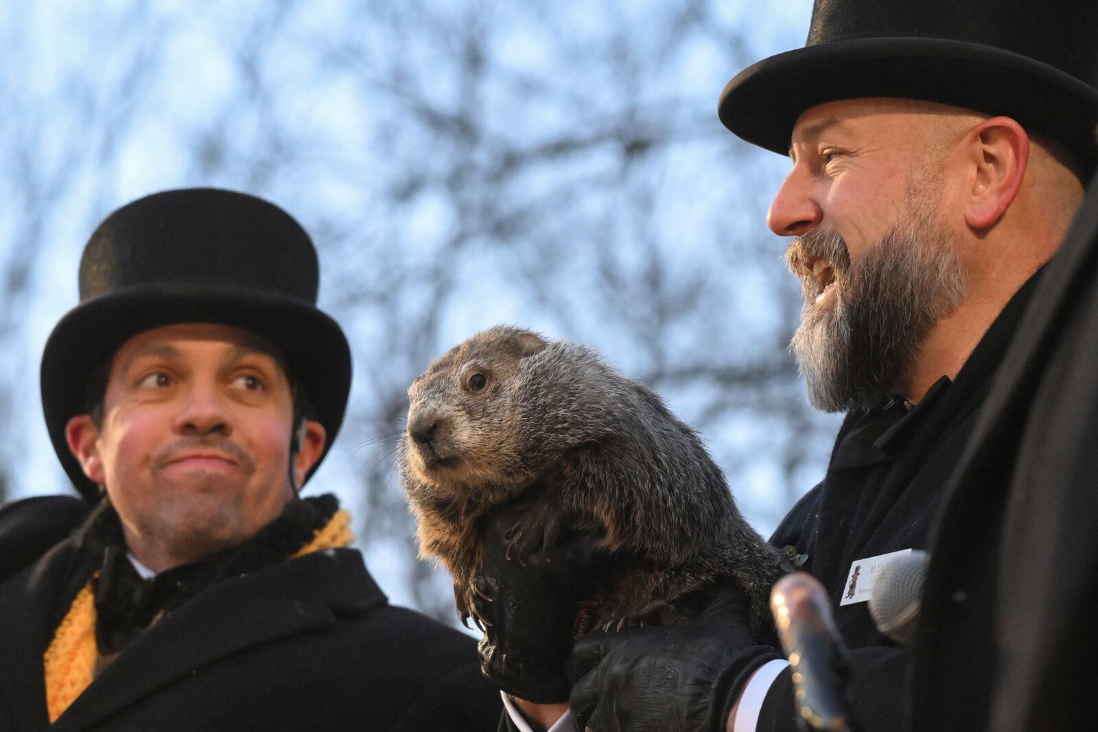 Groundhog Club handler A.J. Dereume holds Punxsutawney Phil, the weather prognosticating groundhog, during the 139th celebration of Groundhog Day on Gobbler's Knob in Punxsutawney, Pa., Sunday, Feb. 2, 2025. (AP Photo/Barry Reeger)