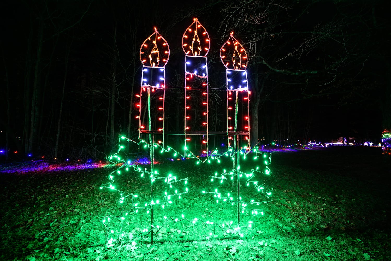 PHOTOS: Fort Saint Clair Whispering Christmas light display in Eaton