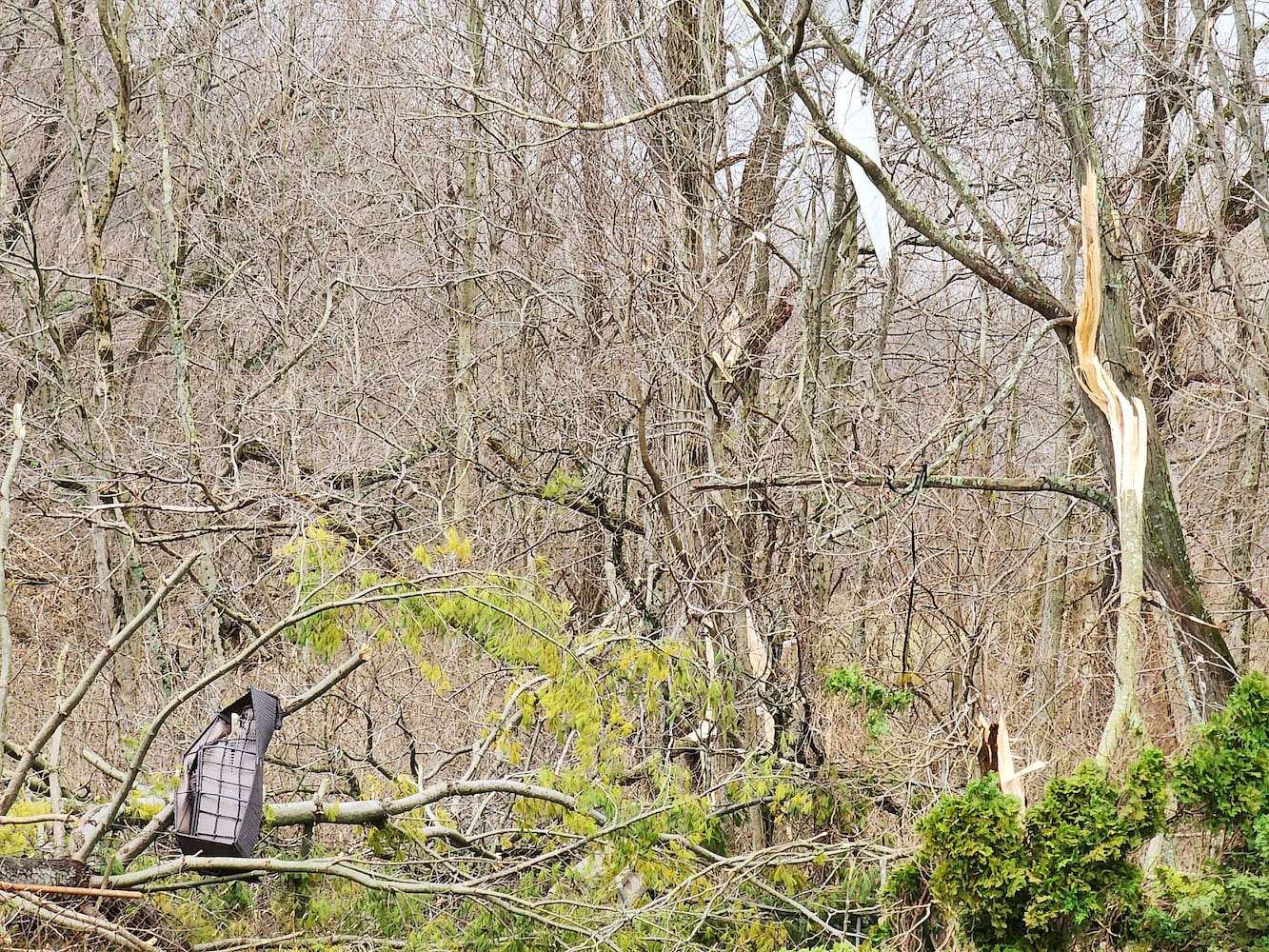 022723 tornado damaged butler county