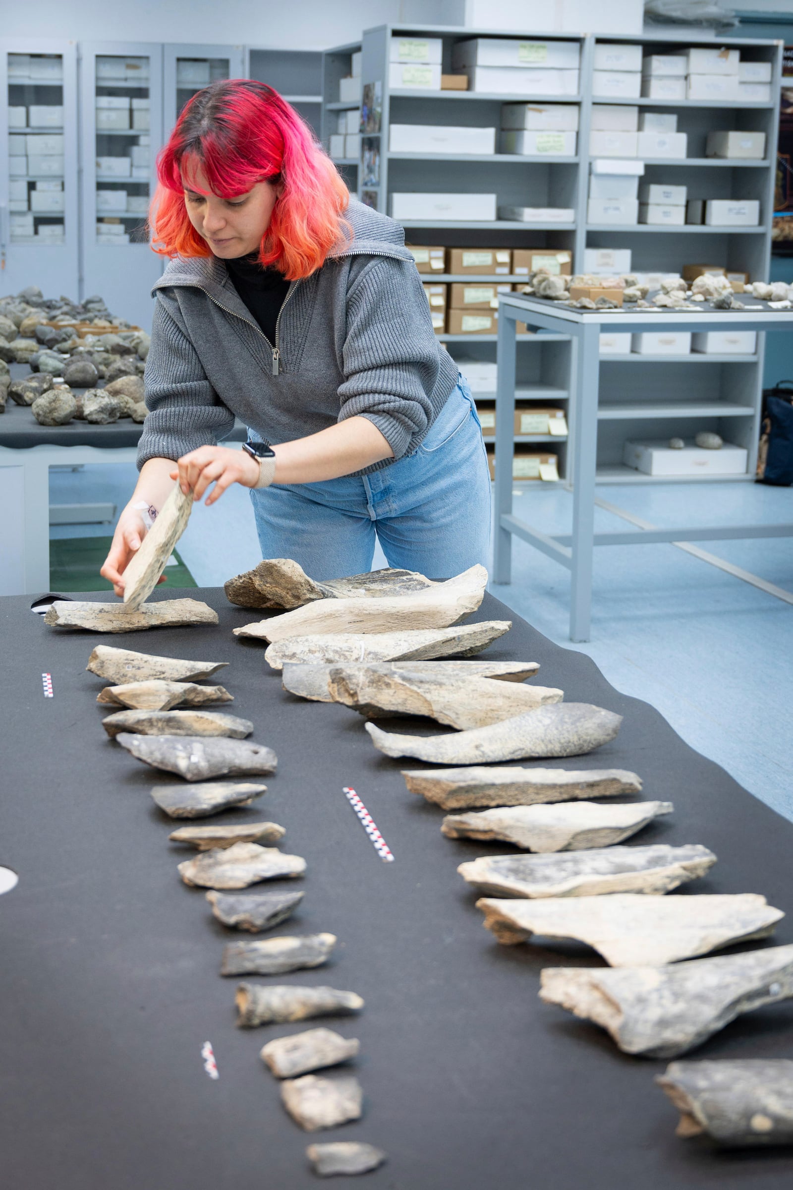 In this photo provided by the Spanish National Research Council (CSIC), conservator Ana Seisdedo holds a bone tool found in Tanzania's Olduvai Gorge, at the CSIC-Pleistocene Archaeology Lab in Madrid in 2023. (Angeliki Theodoropoulou/CSIC via AP)