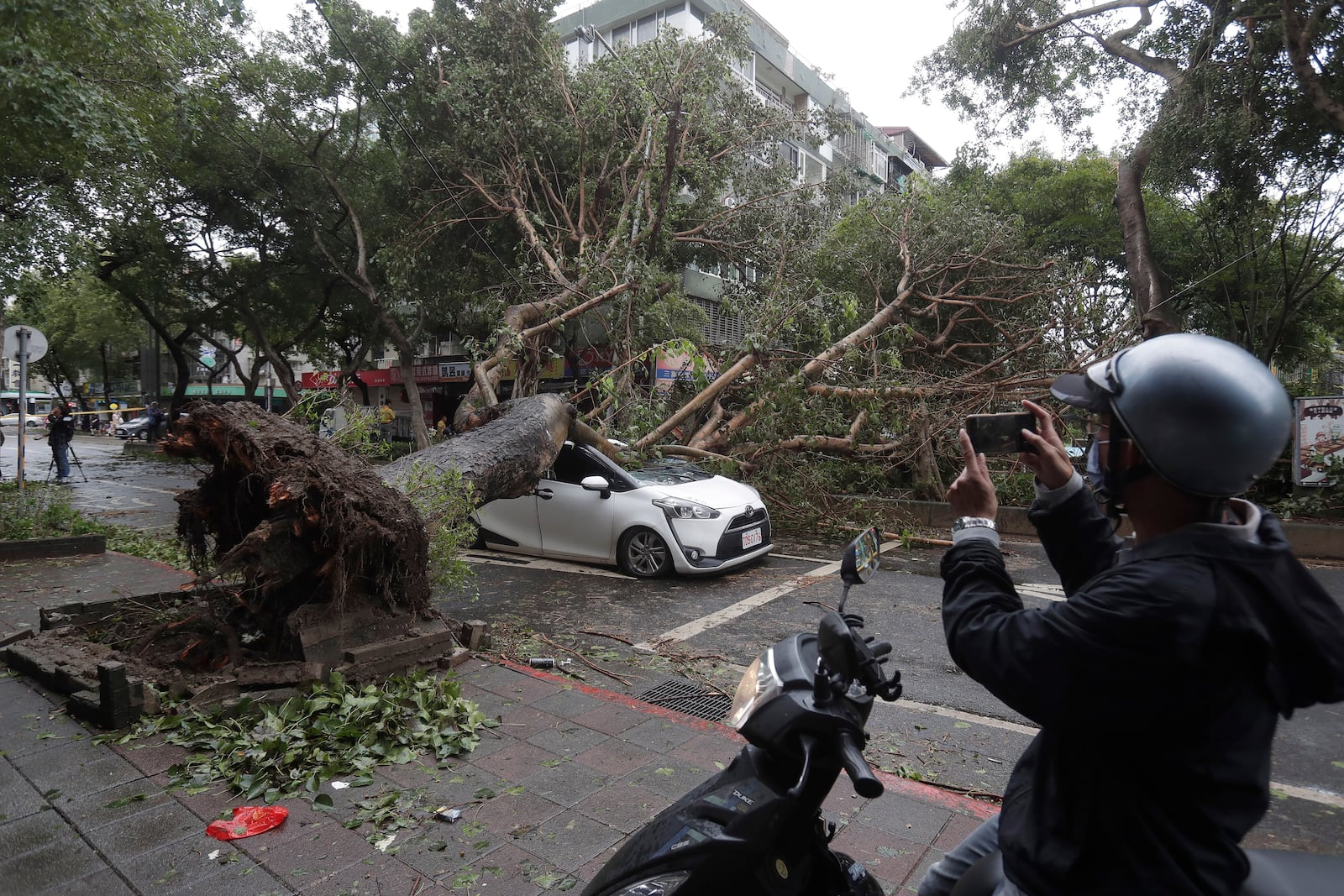 A man takes a photo of a car crushed by a fallen tree destroyed by the wind of Typhoon Kong-rey in Taipei, Taiwan, Friday, Nov. 1, 2024. (AP Photo/Chiang Ying-ying)