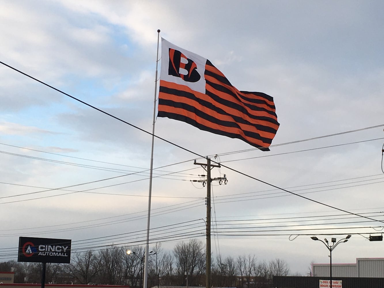 Giant Bengals Flag 2022