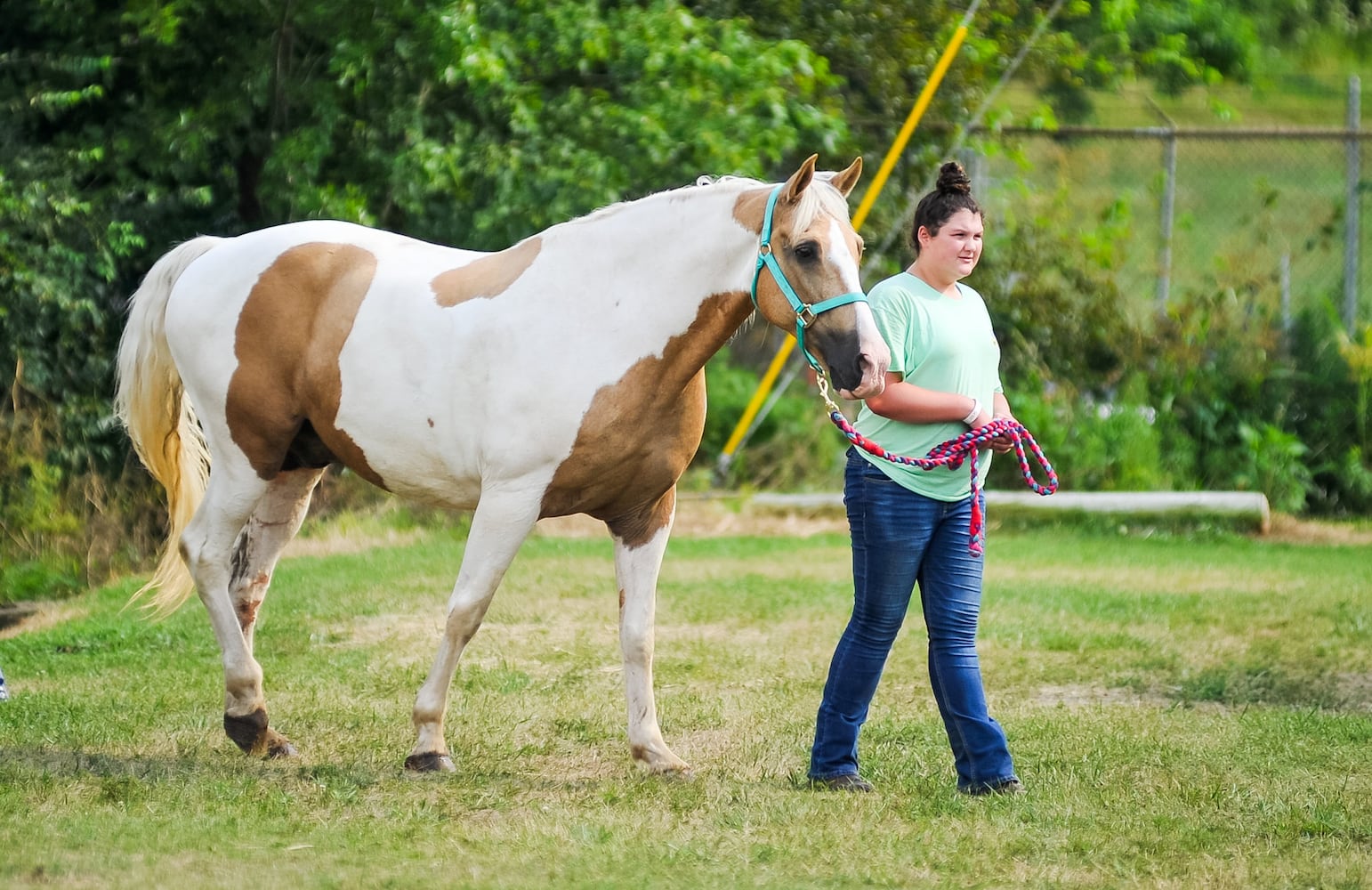 Scenes from the Butler County Fair 2019