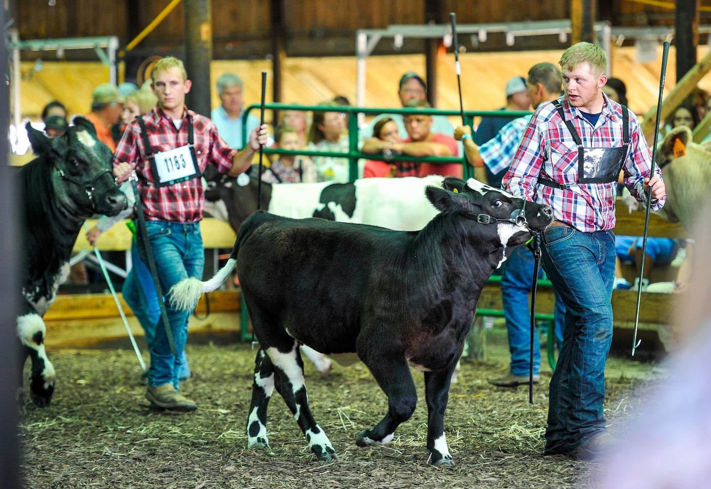 Butler County Fair 2018