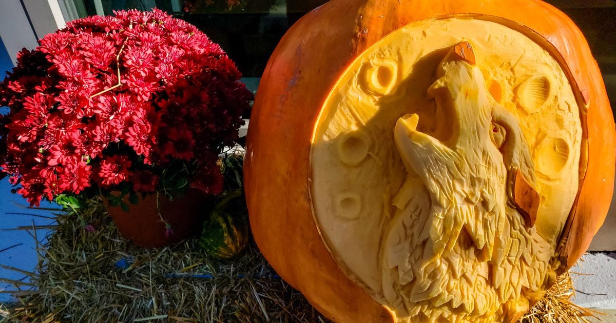 PHOTOS Operation Pumpkin changes in Hamilton with dozens of carved