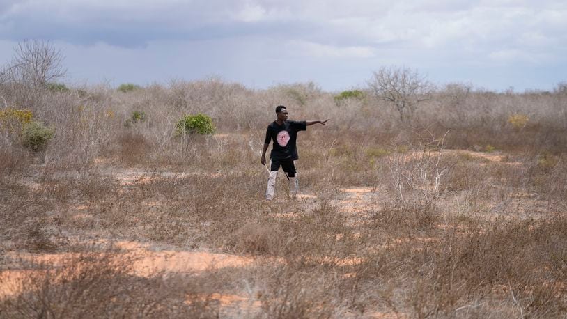 Shukran Karisa Mangi, 25, a gravedigger, walks in the bush near the forest where dozens of bodies have been found in shallow graves in the village of Shakahola, near the coastal city of Malindi, in southeastern Kenya, on Thursday, Sept. 5, 2024. (AP Photo/Brian Inganga)