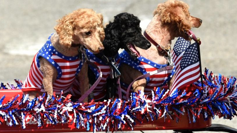 There are plenty of Fourth of July festivities in Middletown, including the annual Fourth of July Parade on Thursday, July 4, a Fourth of July Festival on Wednesday, July 3, and Red, White, and Food on Wednesday, July 3, 2024. Pictured are dogs riding a wagon at a previous Middletown’s Independence Day parade. NICK GRAHAM/STAFF