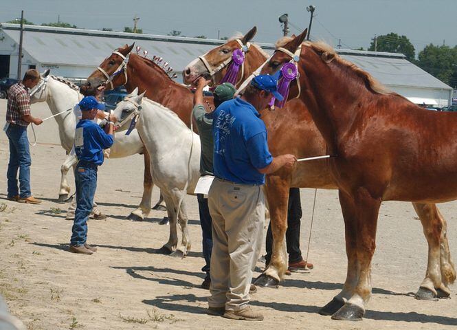 Butler County Fair flashback 2003